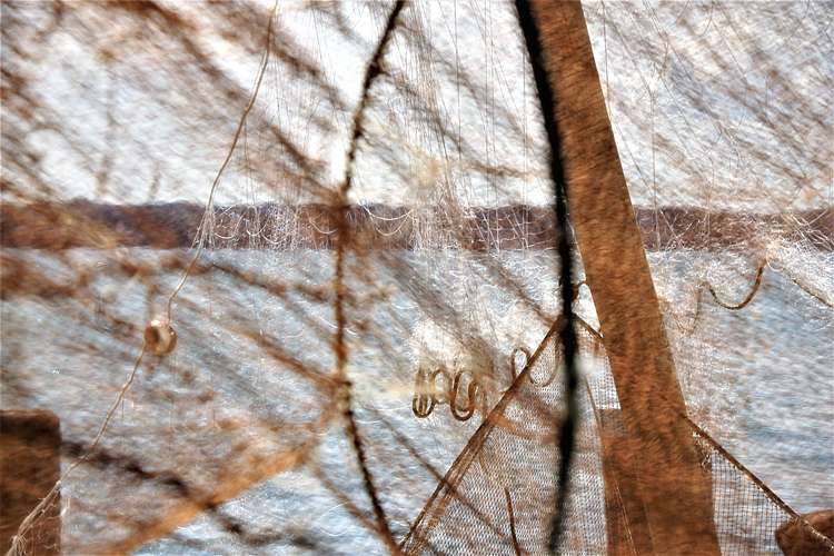 Rost
